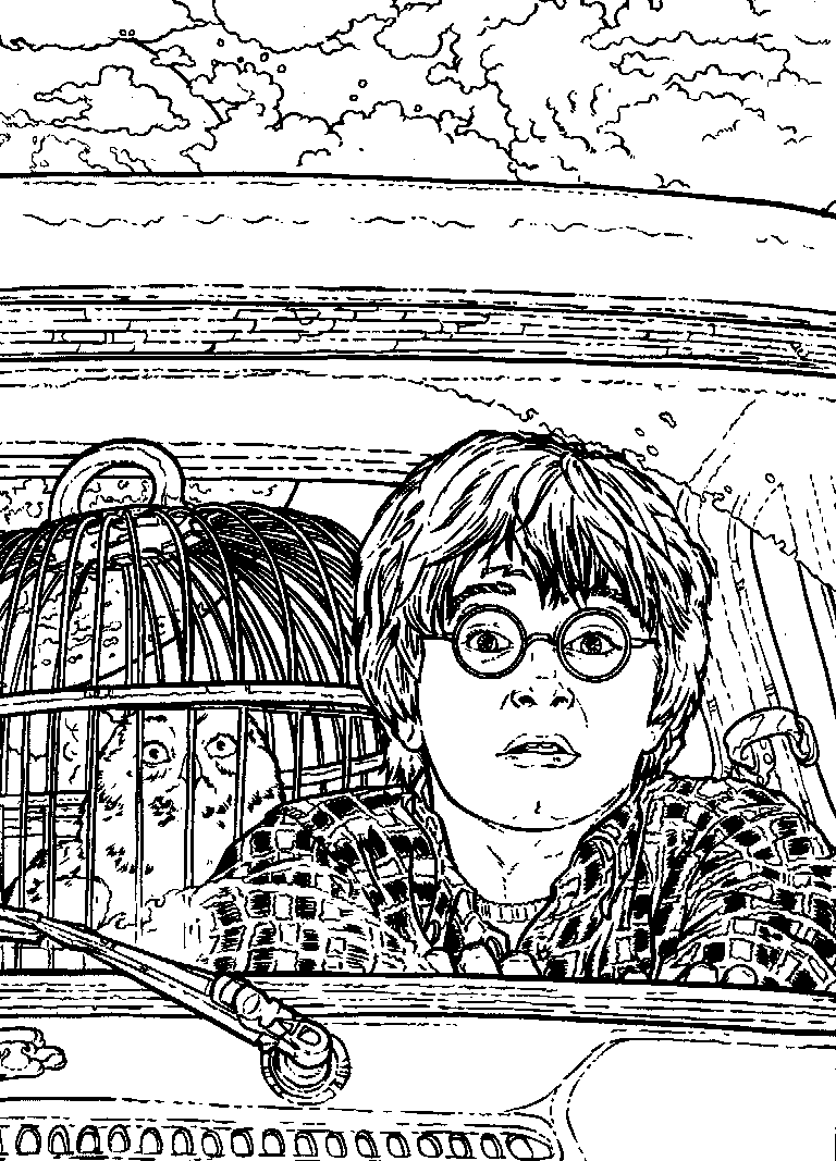 Coloring page Harry Potter and the Chamber of Secrets